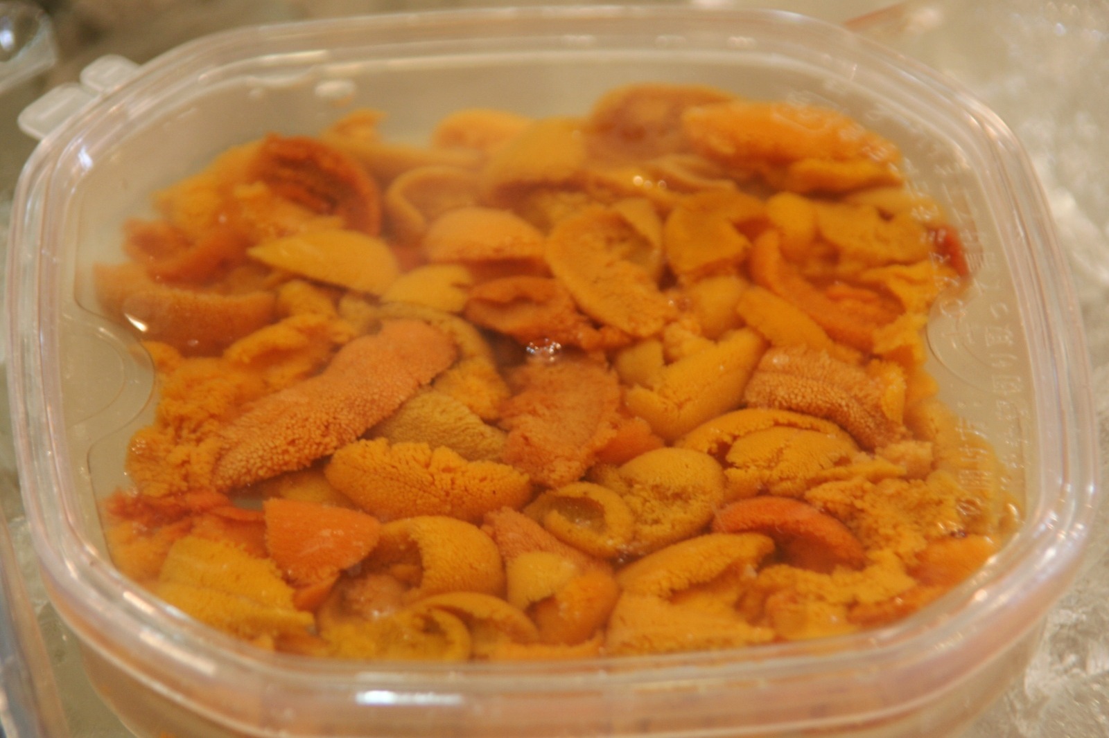 塩水ウニ 日本の食べ物用語辞典