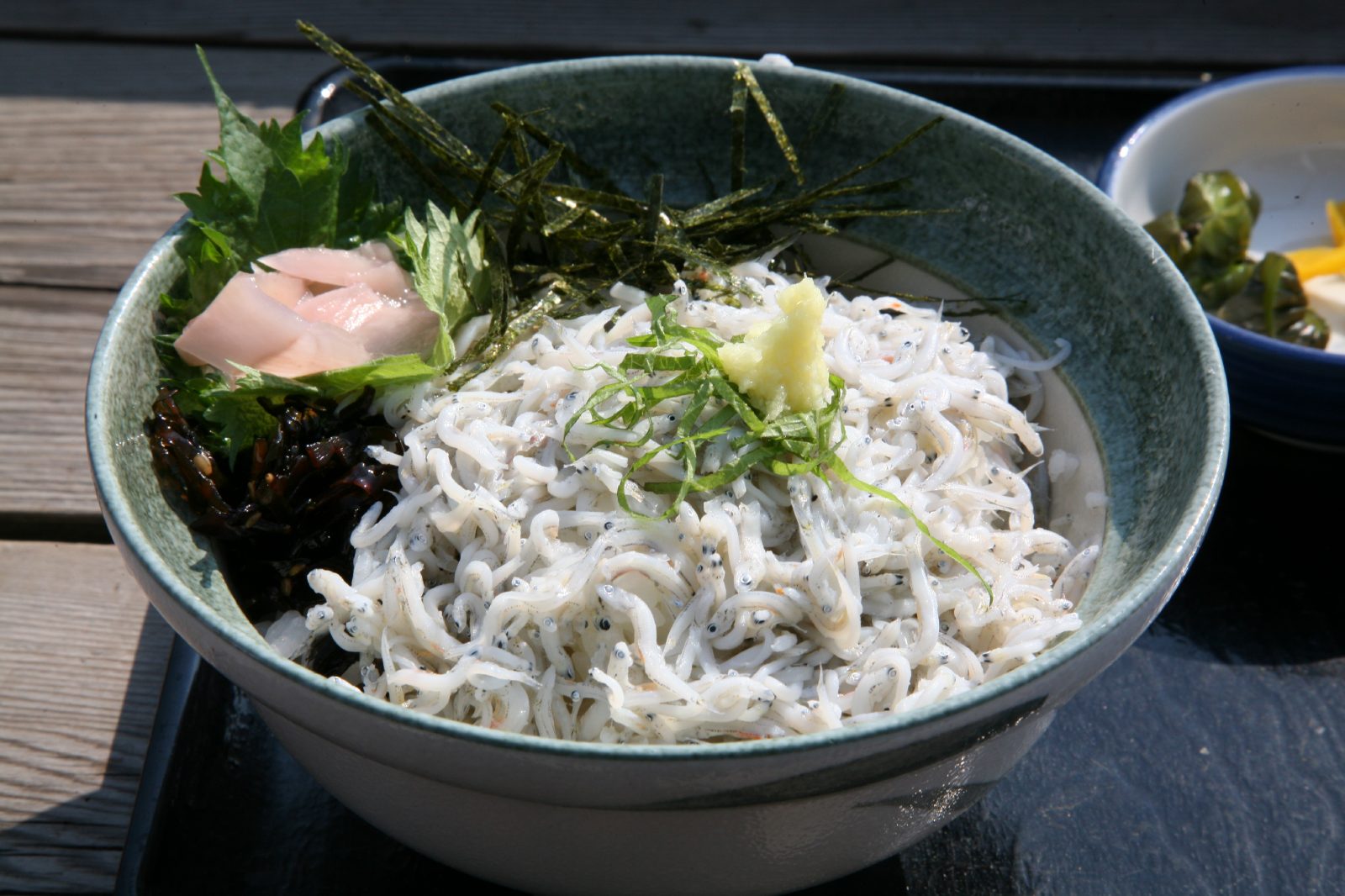 釜揚げしらす丼 日本の食べ物用語辞典