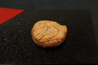 まめたい焼き