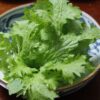 わさび菜
